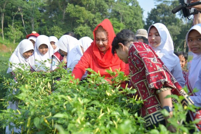 Pemerintah Semarang Percepat Regenerasi Petani dengan Kampanyekan Petani Generasi Baru