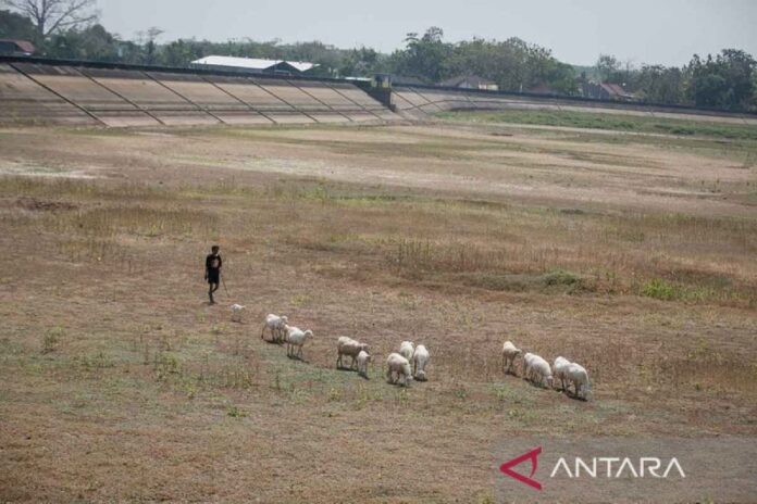 Kerja Sama Global Melawan Ancaman Krisis Iklim