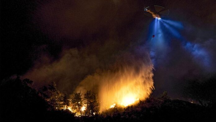 Kebakaran Hutan Tragis Melanda Desa Turki, Menewaskan Lima dan Mencederai 44 Orang